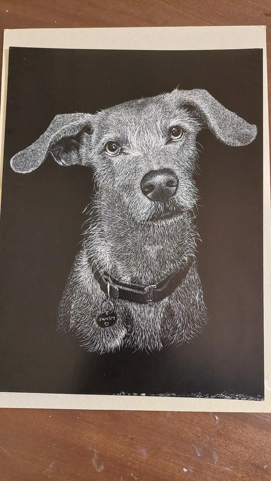 Retrato em scratchboard de cão