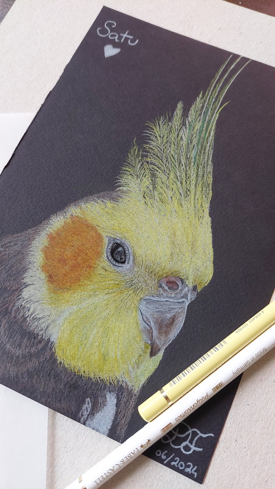 Retrato de calopsitas