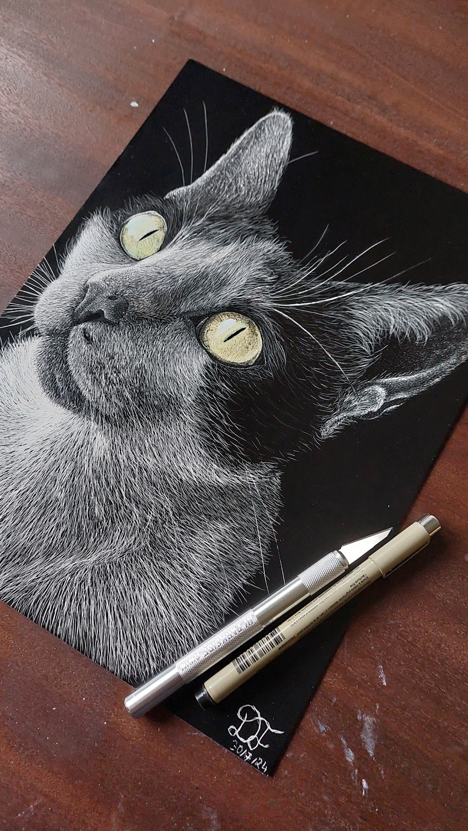 Retrato em scratchboard de gato