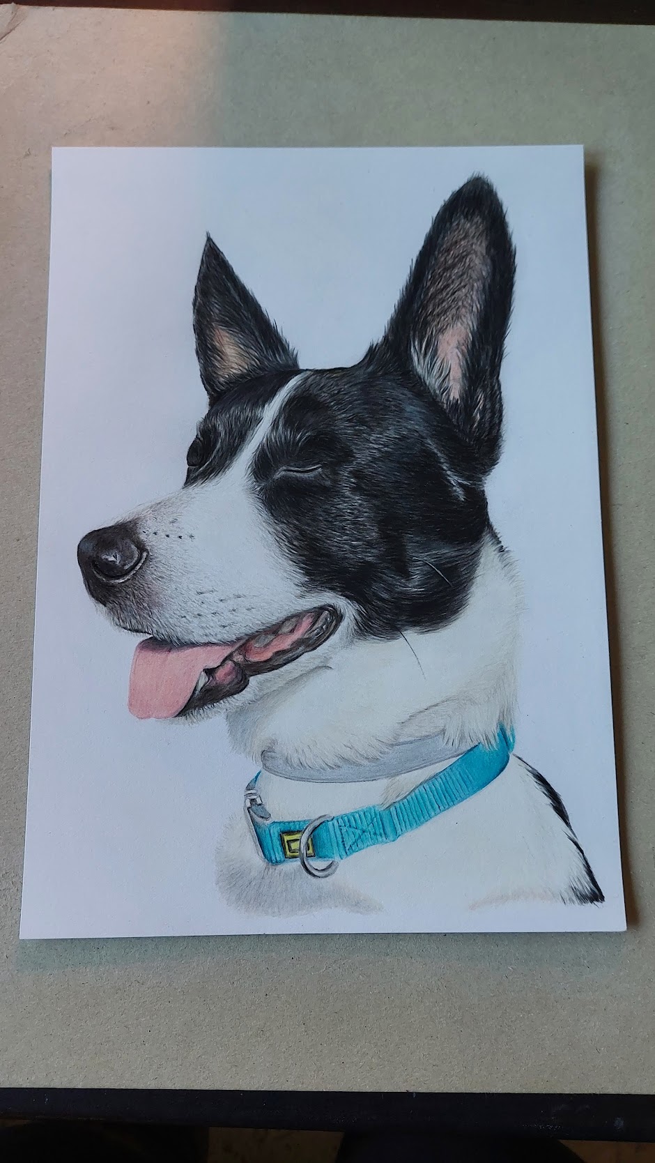 Retrato de cão