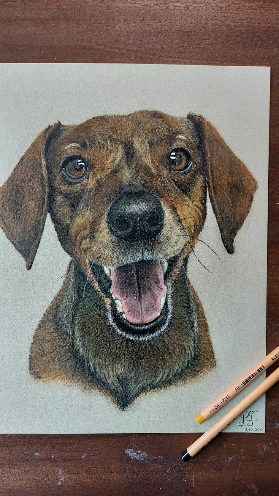 Retrato de Dachshund a pastel