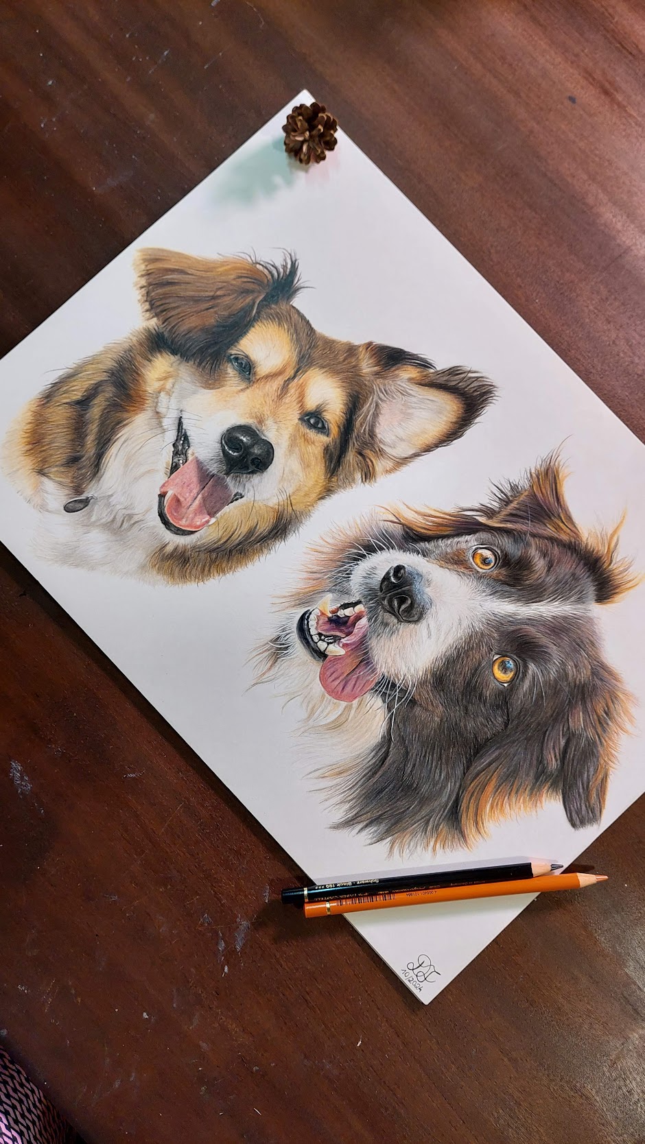 Retrato de cão