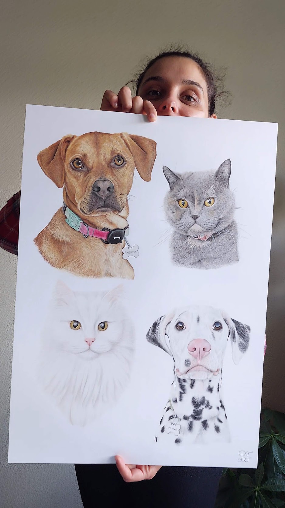 Retrato de cão