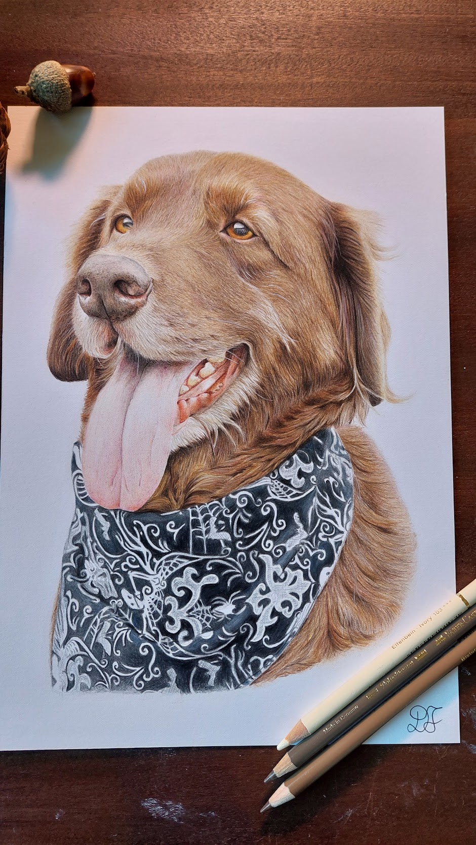 Retrato de cão