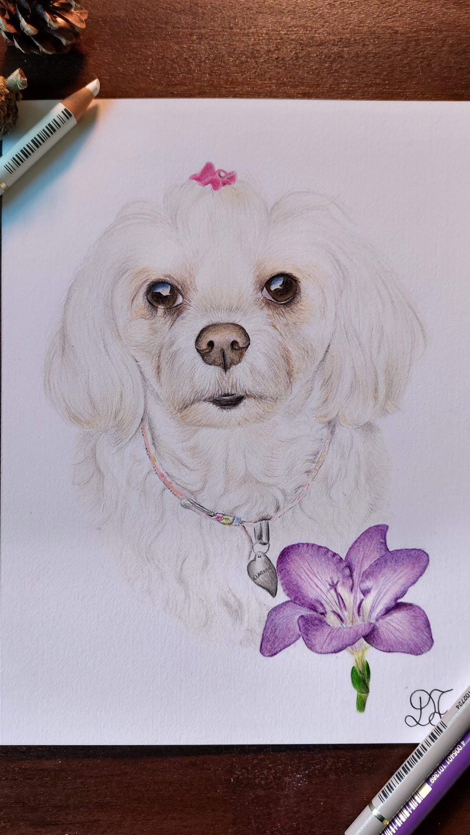 Retrato de cão
