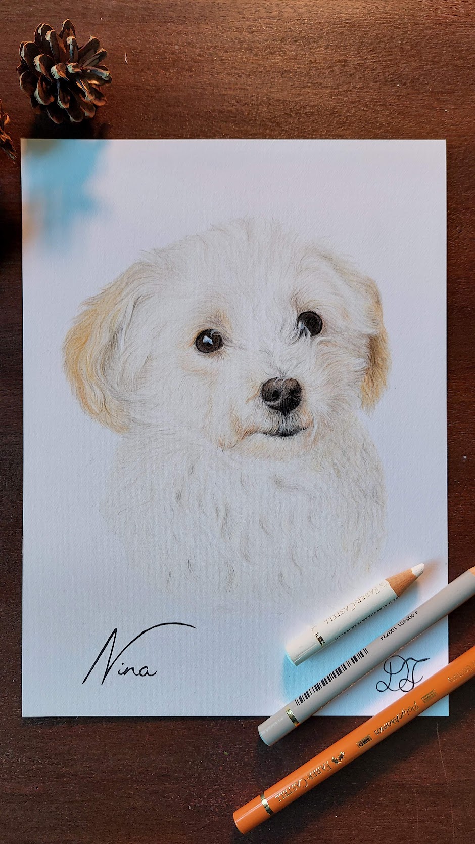 Retrato de cão