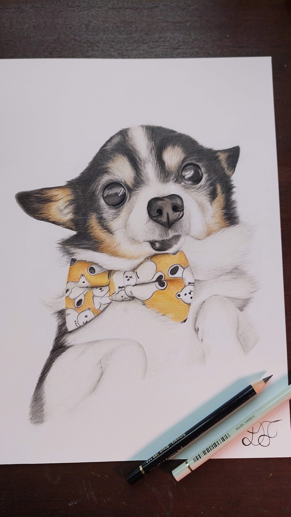 Retrato de cão em lápis de cor