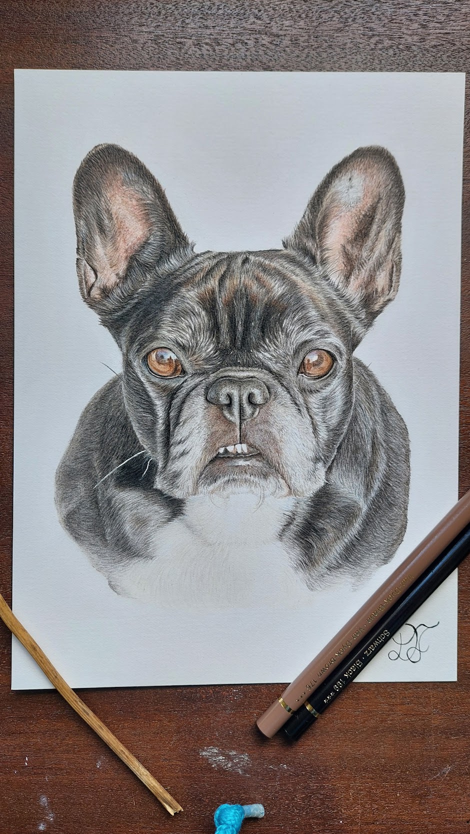 Retrato de cão em lápis de cor