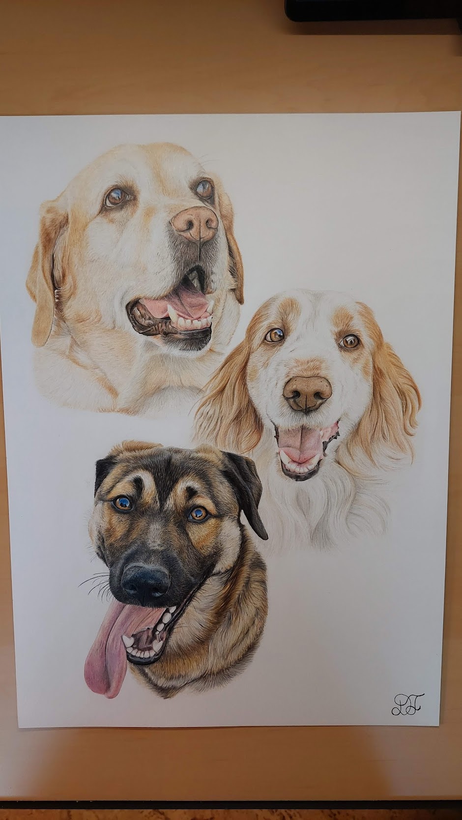 Retrato a lápis de cor de três cães